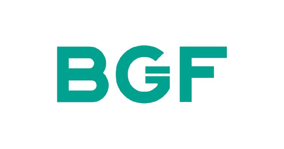 BGF Internship
