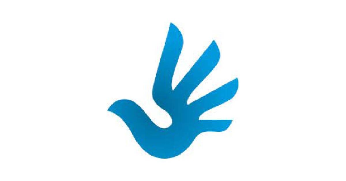 Human Rights Internship