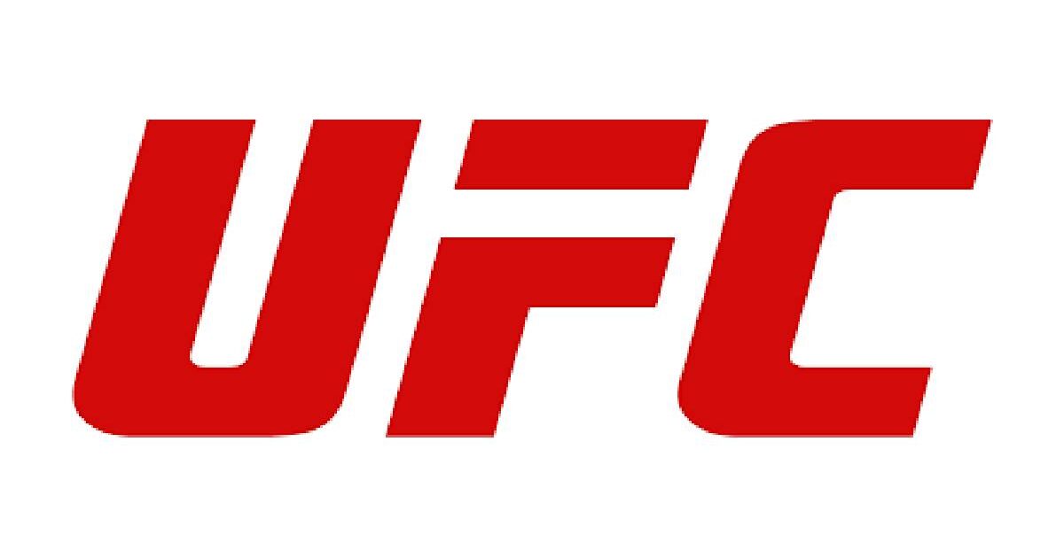 UFC Internship