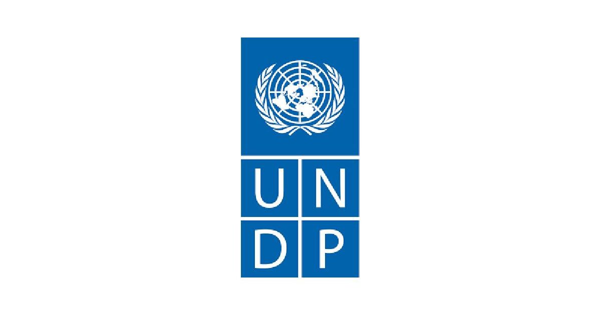 UNDP Internship