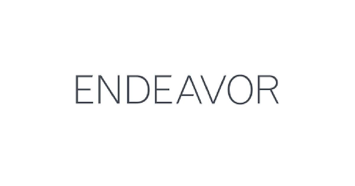 Endeavour Internship