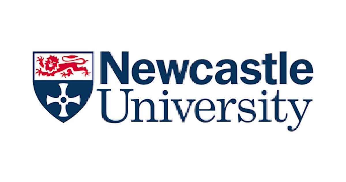 Newcastle University Internship