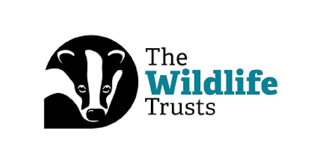 Wildlife Trust Internship